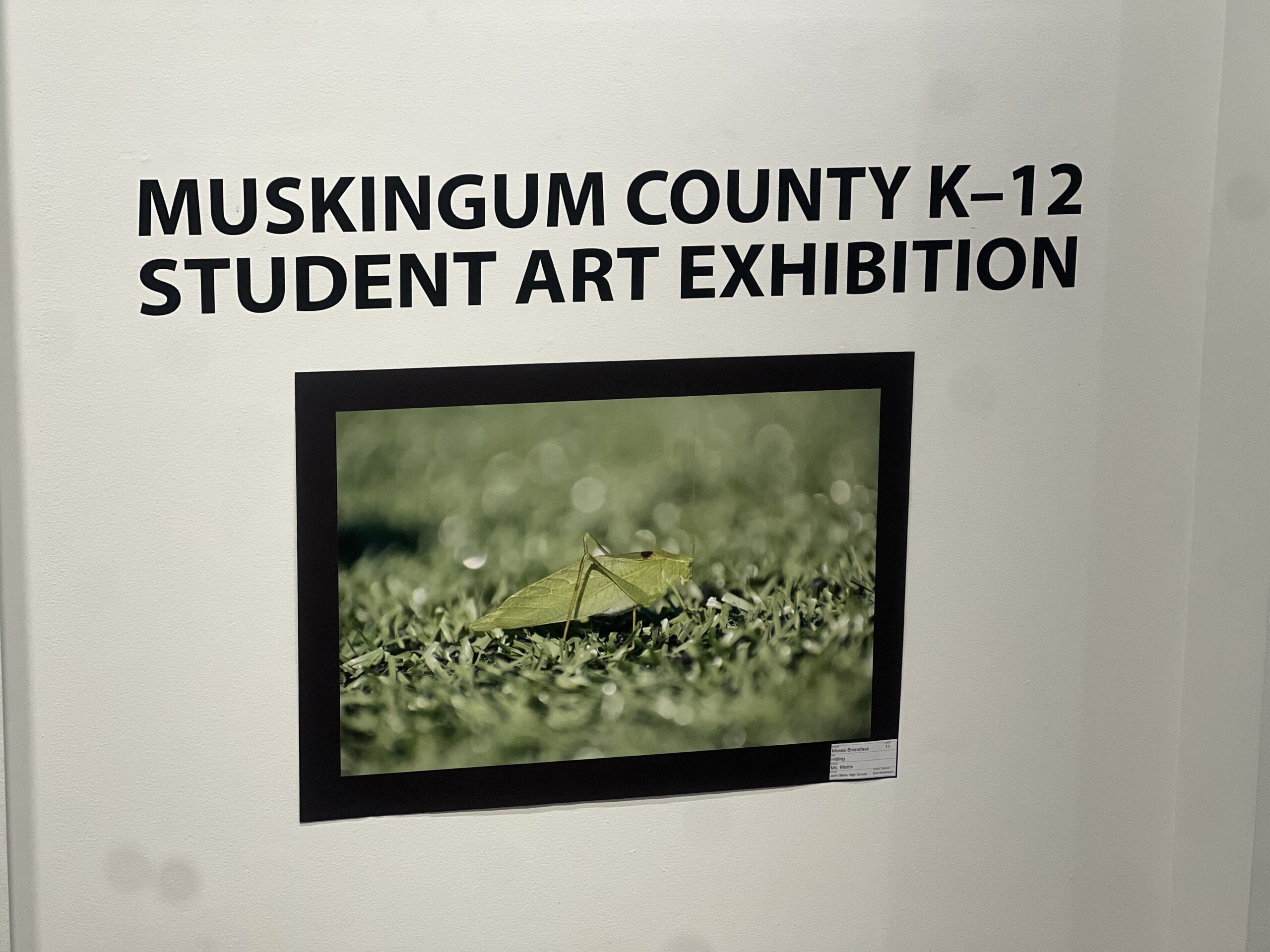 Brewing Locally Image